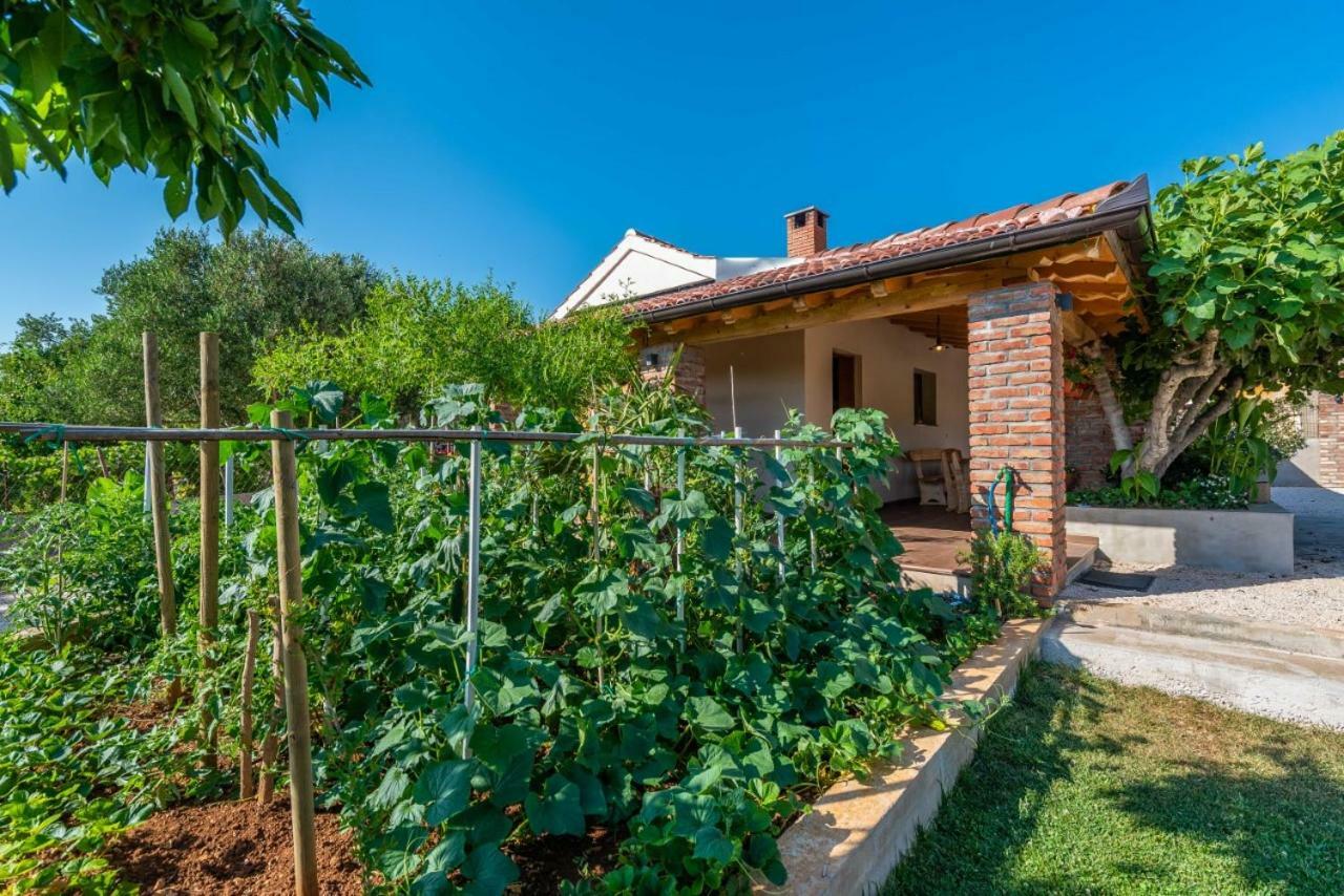 Villa Navita Augustinus With Pool Debeljak Exteriér fotografie